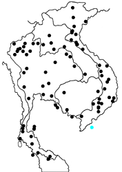 Cupha erymanthis erymanthis map