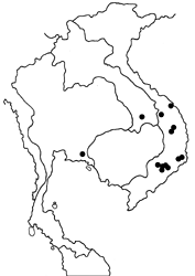 Cirrochroa chione map