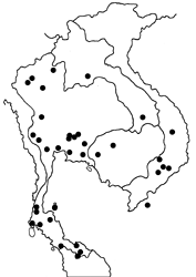 Algia fasciata fasciata map
