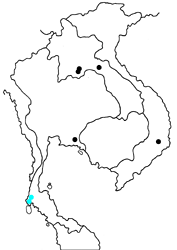 Terinos atlita teuthras map