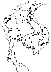Cethosia cyane euanthes map