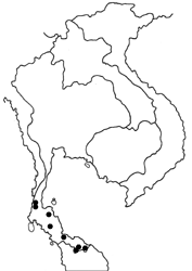 Cethosia hypsea hypsina map
