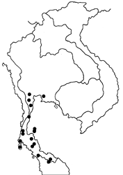 Cethosia methypsea methypsea map