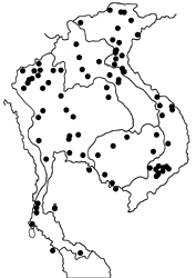 Pantoporia hordonia hordonia map