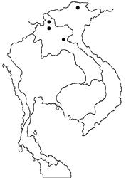 Pantoporia assamica map