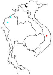 Pantoporia bieti aurantina map