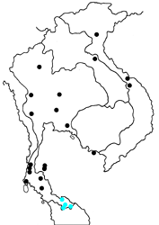 Lasippa heliodore dorelia map