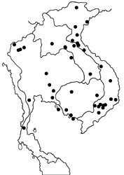 Lasippa camboja map