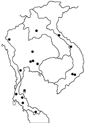 Lasippa monata monata map