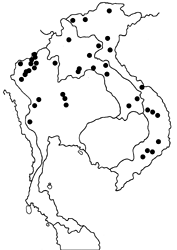 Neptis sappho astola map