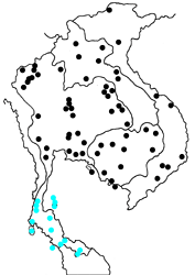 Neptis hylas papaja map