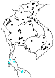 Neptis nata adipala Map
