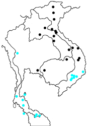 Neptis leucoporos leucoporos Map