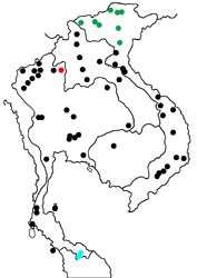 Neptis miah thaithummakulorum Map