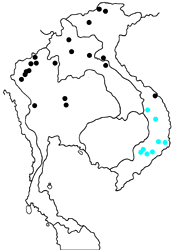 Neptis sankara sugimotoi Map