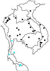 Neptis magadha magadha Map