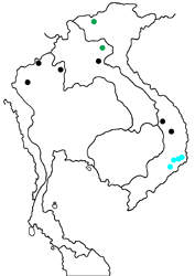 Neptis armandia pila Map