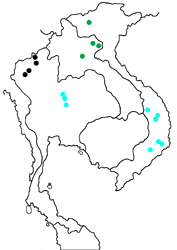 Neptis manasa mientrunga Map