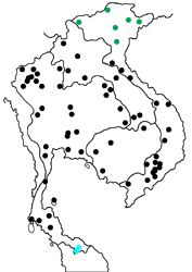 Phaedyma columella columella Map