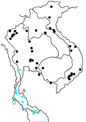 Athyma pravara indosinica Map