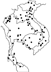Athyma perius perius Map