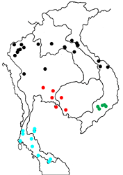 Athyma kanwa phorkys Map