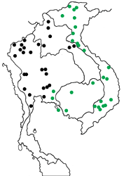Athyma ranga obsolescens Map