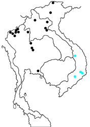 Athyma opalina parajina Map
