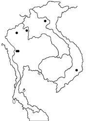 Athyma yui Map