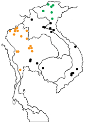 Athyma zeroca galaesus map
