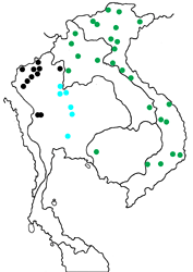 Athyma cama thailandica Map