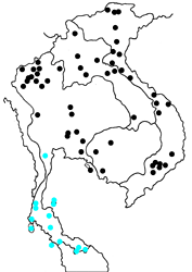 Athyma nefte subrata Map