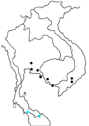 Athyma sinope sinope Map