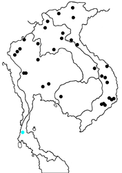Athyma daraxa ranongensis Map