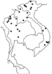 Limenitis dudu secius map