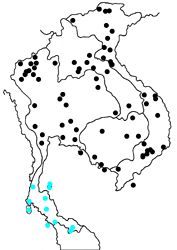 Moduza procris procris map