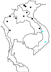 Auzakia danava yokochii map
