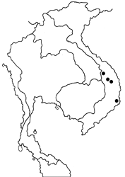Abrota ganga pulcheria map
