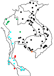 Tanaecia julii mansori map
