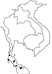 Tanaecia aruna aruna map