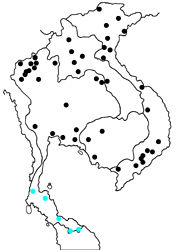 Euthalia lubentina chersonesia map