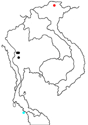 Euthalia eriphylae raya map