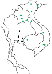 Euthalia eriphylae lioneli map