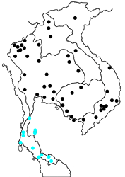 Euthalia aconthea gurda map