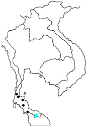 Euthalia kanda marana map