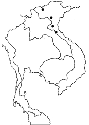 Euthalia iva buensis map