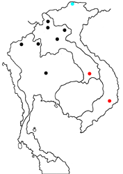 Euthalia narayana dalatensis map