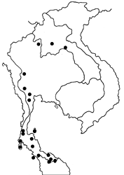 Euthalia dunya dunya map