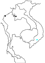 Euthalia recta jamadai map