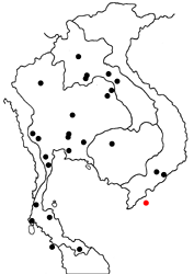 Euthalia monilis consonensis map